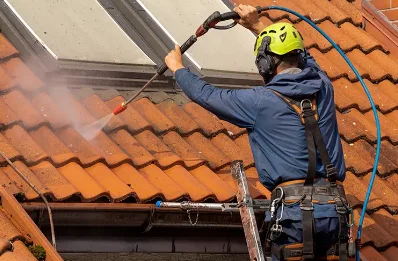 Démoussage et hydrofuge de toiture à Meuzac